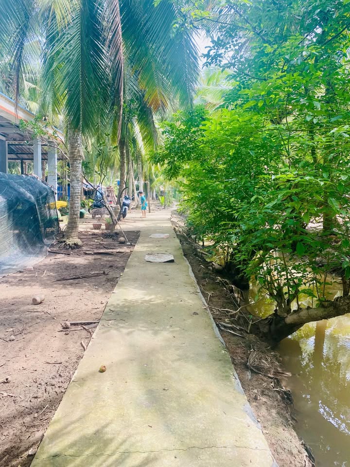 Đất nền Tân Thành Bình Vĩnh Long 4693m² - Sổ hồng chính chủ, giá tốt!