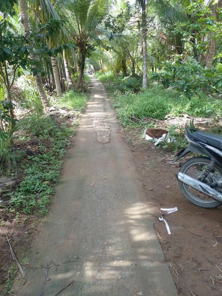 Đất nền xã Thành Thới B, Mỏ Cày Nam 1000m² - Giá chỉ 400 triệu thương lượng!