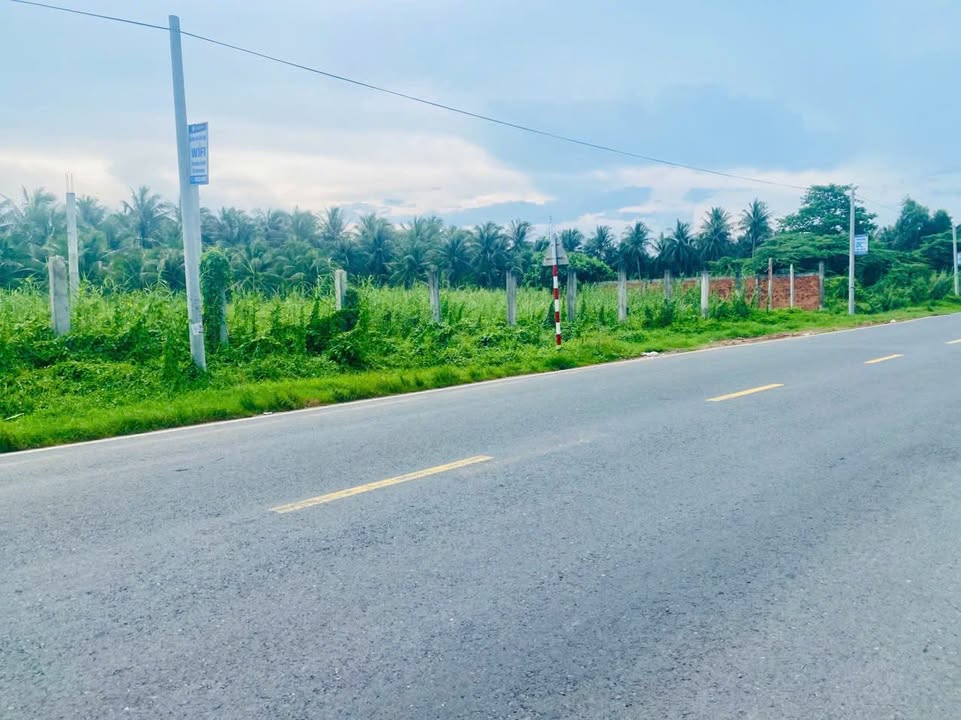 Đất nền Hòa Lộc Mỏ Cày Bắc 16000m² giá 22 tỷ - Cơ hội đầu tư hấp dẫn!