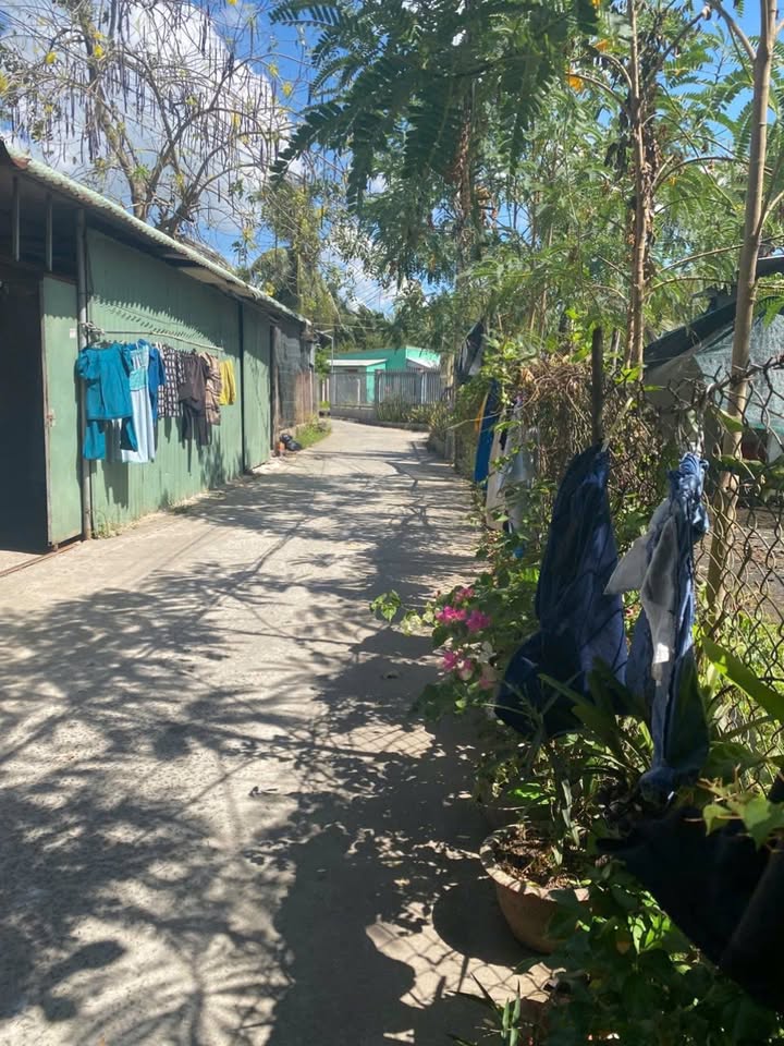 Đất thổ cư Mỏ Cày Nam 200m² giá 1,2 tỷ - Đầu tư sinh lời ngay!