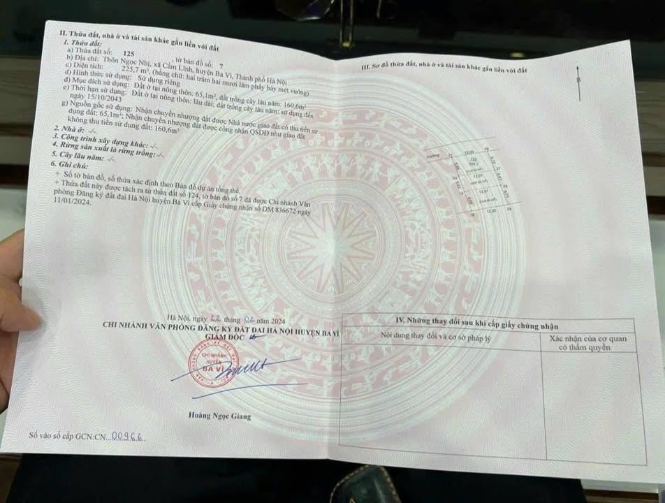 Đất nền Cẩm Lĩnh Ba Vì 224m² giá 1 tỷ - Thế đất cao thoáng, ô tô vào tận nơi!