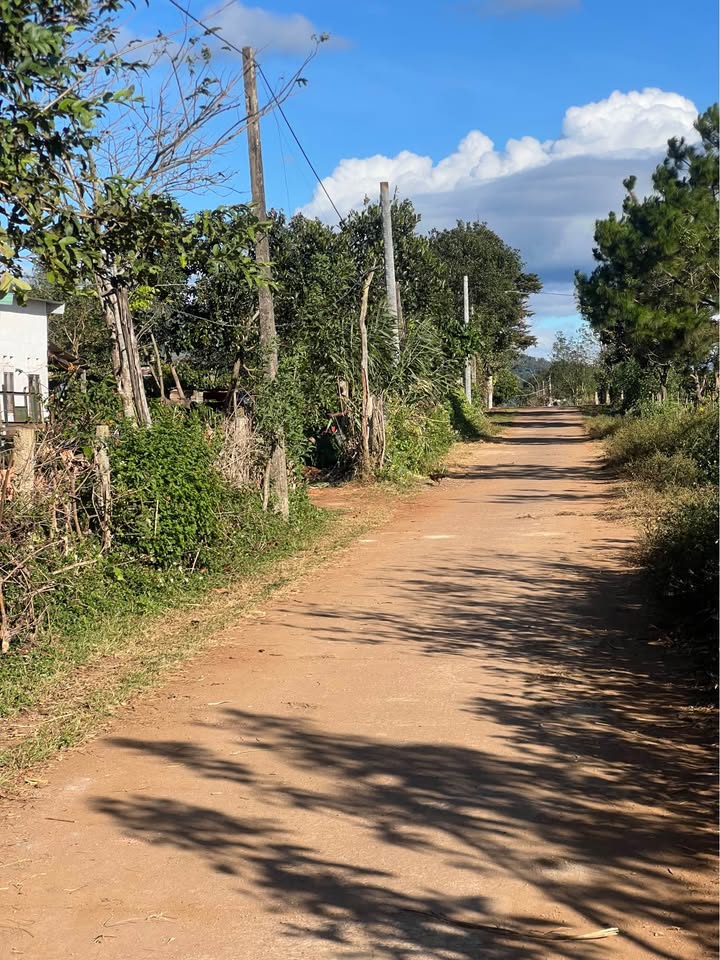 Đất nền Chư Đăng Ya, Gia Lai 780m² giá 400 triệu - Cần bán gấp trước Tết!