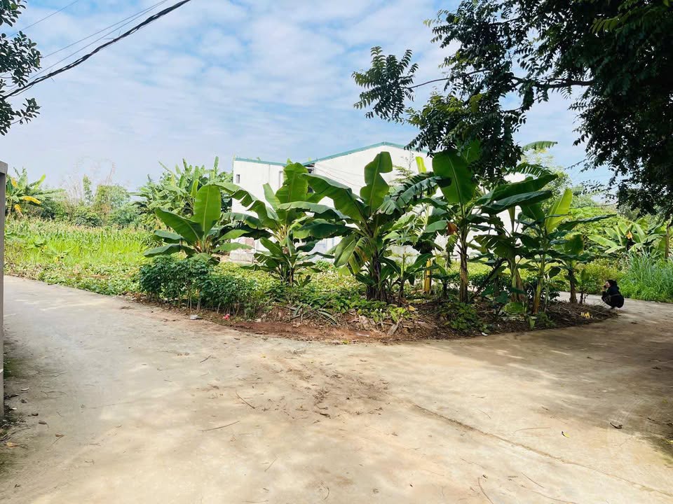 Đất nền khu phố 5, phường Thanh Đình, 75m² - Giá chỉ 9xx triệu VND!