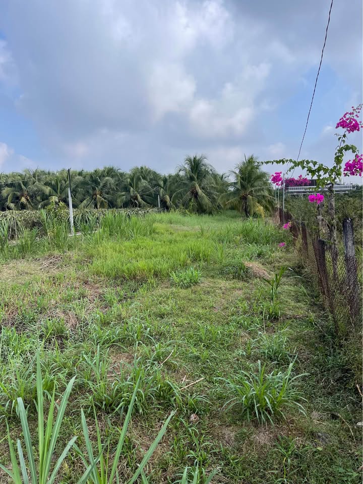 Đất mặt tiền Khánh Hậu, Tân An 900m² giá 1.8 tỷ - Thương lượng ngay!