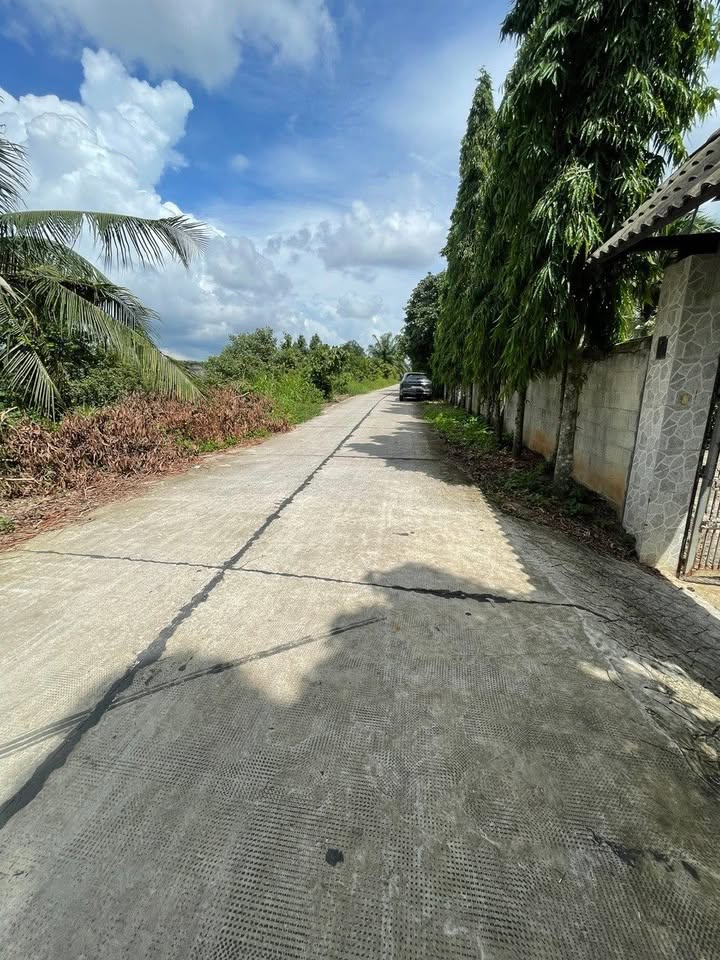 Đất làm kho - xưởng tại Lương Hòa, Bến Lức 3000m² giá 9.5 tỷ - Cơ hội đầu tư hiếm có!