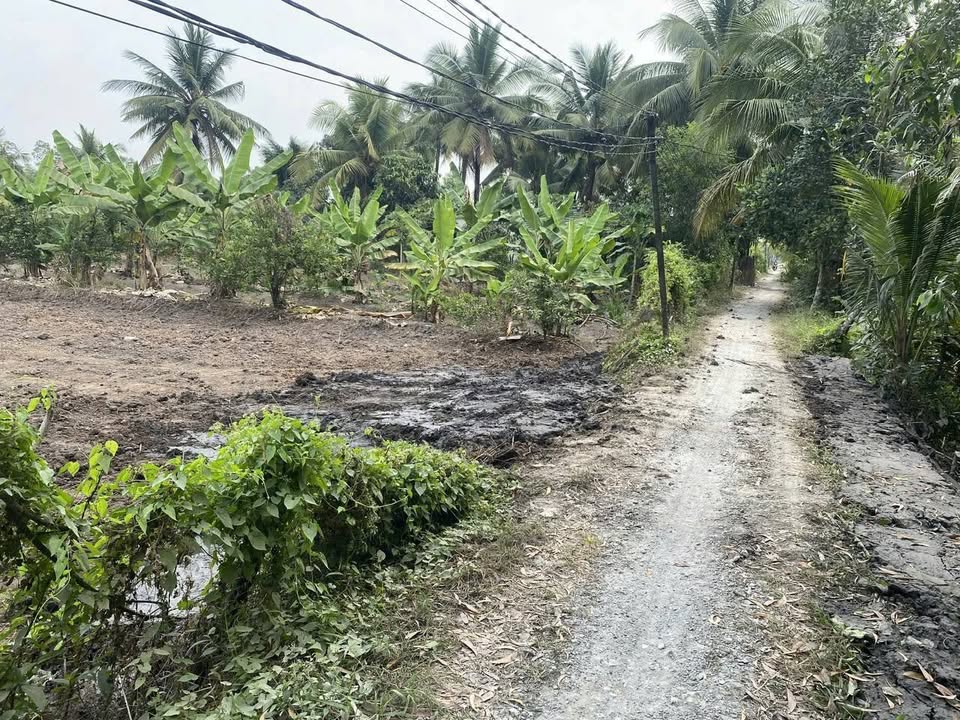 Đất vườn Lương Bình 784m² giá 1.6 tỷ - Thích hợp nghỉ dưỡng