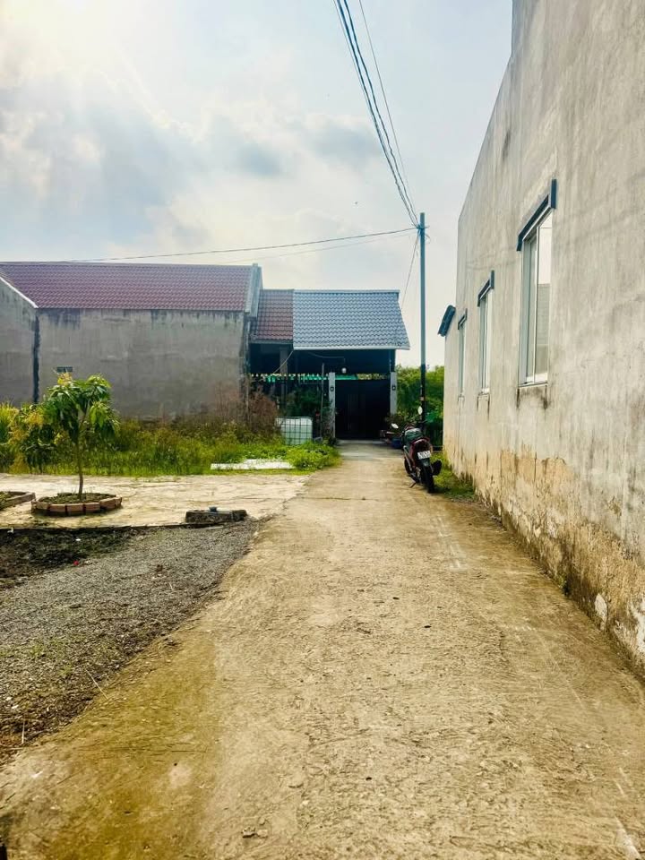 Đất thổ cư 115m² tại Mỹ Lộc, Cần Giuộc giá 900 triệu - Sổ hồng riêng, xe hơi vào tận nơi!