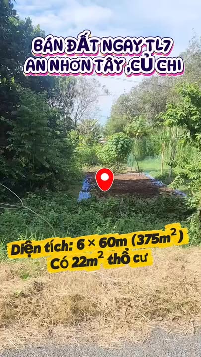 Đất nền 375m² Tỉnh Lộ 7, Củ Chi - Giá 1.7 tỷ, Đầu tư sinh lời!