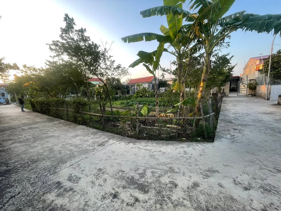 Đất nền lô góc Xuân Phương 274m² giá 1.6 tỷ - Cơ hội đầu tư hấp dẫn!