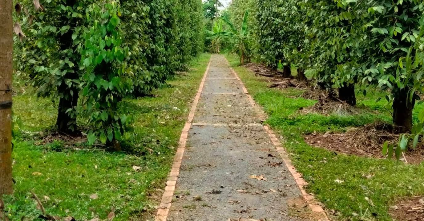 Đất mặt tiền hẻm Nơ Trang Long, phường Rạch Dừa, 178m² giá 6.5 tỷ - Thích hợp kinh doanh!