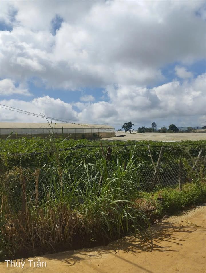 Đất nền Xã Ka Đô 80m² giá 950 triệu - Vị trí thuận tiện, sổ riêng chính chủ!