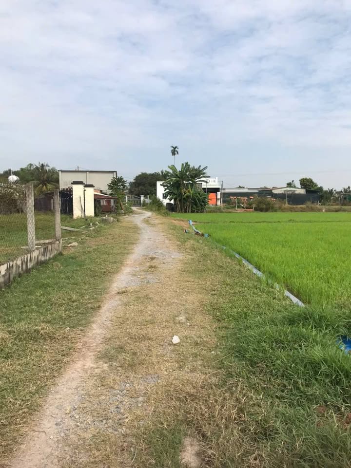 Đất nền Đức Hòa Thượng 722m² giá 2.9 tỷ - Đầu tư sinh lời ngay!