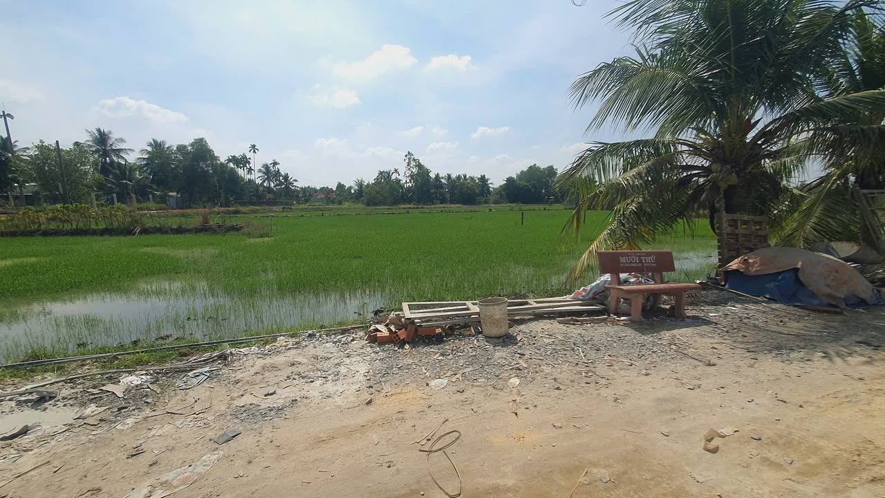 Đất nền 125m² tại ấp 2, xã Hựu Thạnh, Đức Hòa - Giá 800 triệu, vị trí đắc địa!