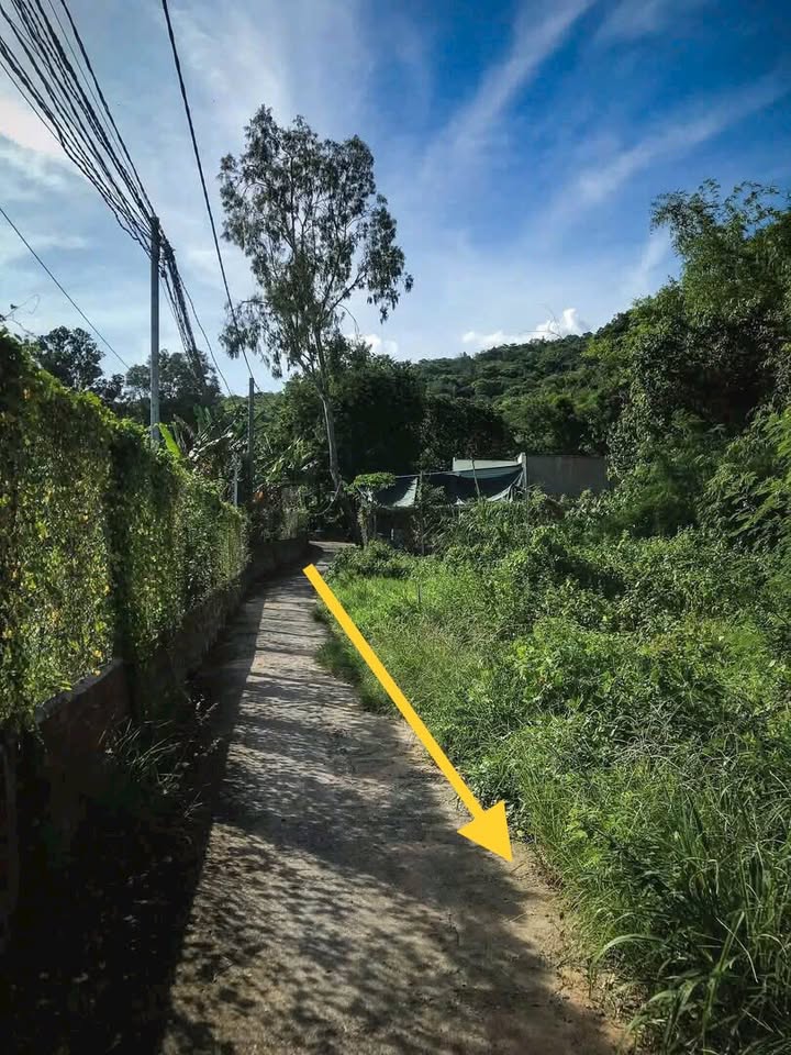 Đất ở Long Sơn, Vũng Tàu 231m² giá 2.15 tỷ - cơ hội đầu tư hấp dẫn!