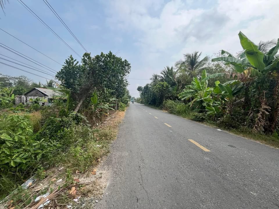 Đất mặt tiền HL71 Cái Bè 585m² giá 2.15 tỷ - Đầu tư sinh lời ngay!