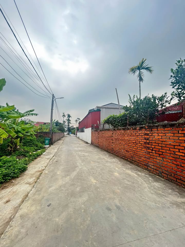 Nhà riêng Kiều Hạ 1 An Dương 61m² giá chỉ 8xx triệu - Ngay trục nhựa vào 3 bước chân!