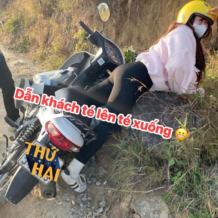 Đất thổ cư phường Ninh Hà 1457m² giá 4 triệu/m² - Cơ hội đầu tư hấp dẫn!