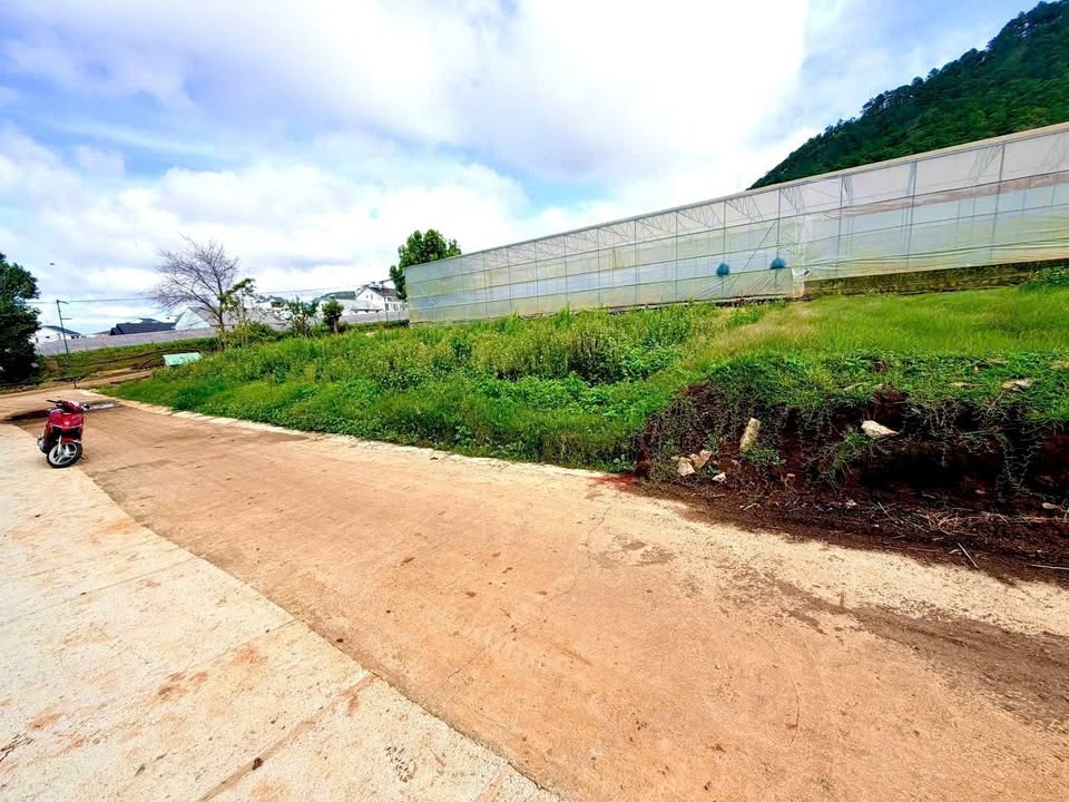 Đất biệt thự Thái Phiên Đà Lạt 100m² giá 2.15 tỷ - Khu dân cư ổn định!