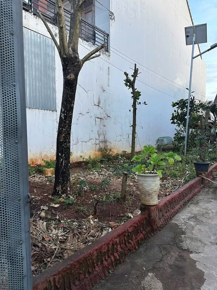 Nhà cho thuê hẻm 267 Mai Hắc Đế, Buôn Ma Thuột 300m² - Giá chỉ 5 triệu/tháng!