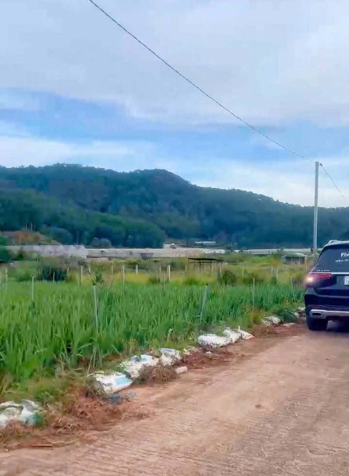 Đất SRNN Mimosa P10 Đà Lạt 521m² giá 1.7 tỷ - Thế đất bằng phẳng, view thoáng mát!