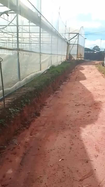 Đất vườn 4 sào tại Làng Hoa Vạn Thành, Đà Lạt - Giá chỉ 700 triệu/sào!