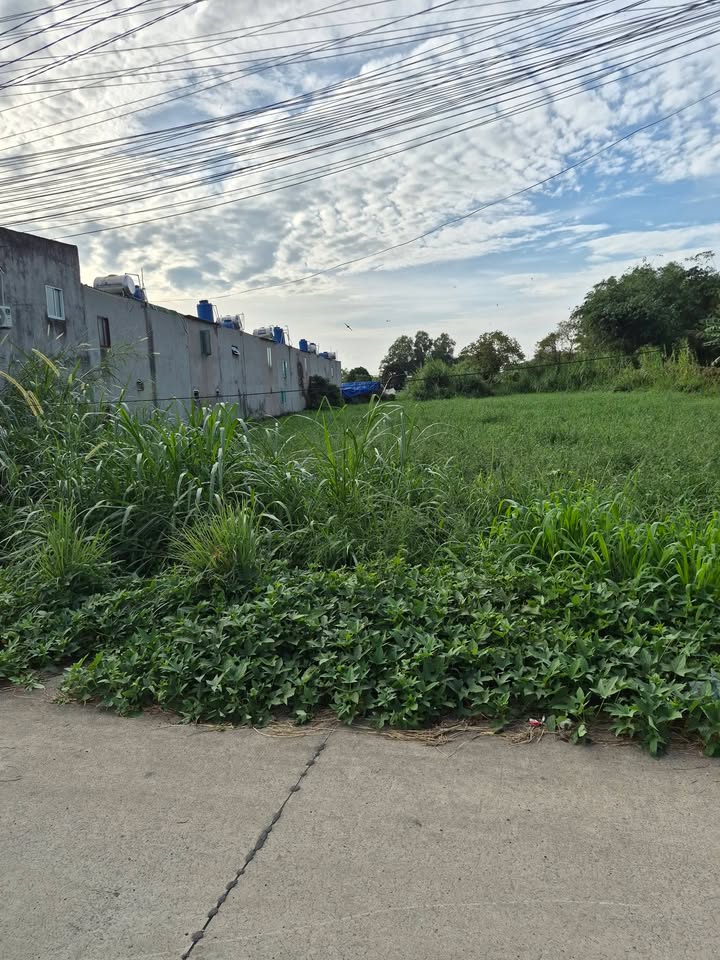 Đất nền Củ Chi 780m² giá 4.5 tỷ - Đường lớn xe tải chạy