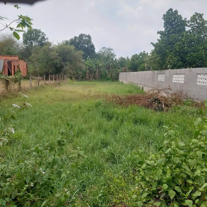 Đất nền xã Thái Mỹ, Củ Chi 600m² chỉ 3 tỷ - Cơ hội đầu tư tuyệt vời!