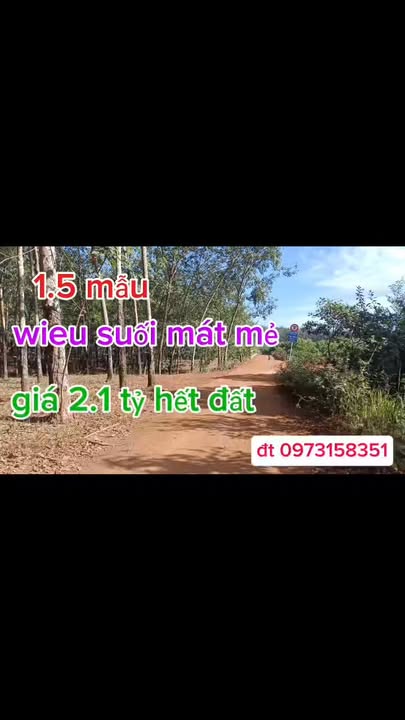 Farm 1,5 mẫu tại Long Bình, Phú Riềng - Đầu tư sinh lời với giá 2,1 tỷ!