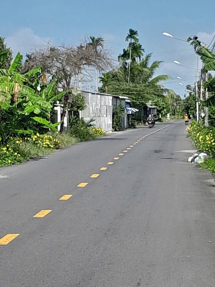 Đất CLN mặt tiền đường Cầu Nhiếm-Ba Mít, Phong Điền, Cần Thơ 843m² giá 2.05 tỷ - Cơ hội đầu tư lý tưởng!