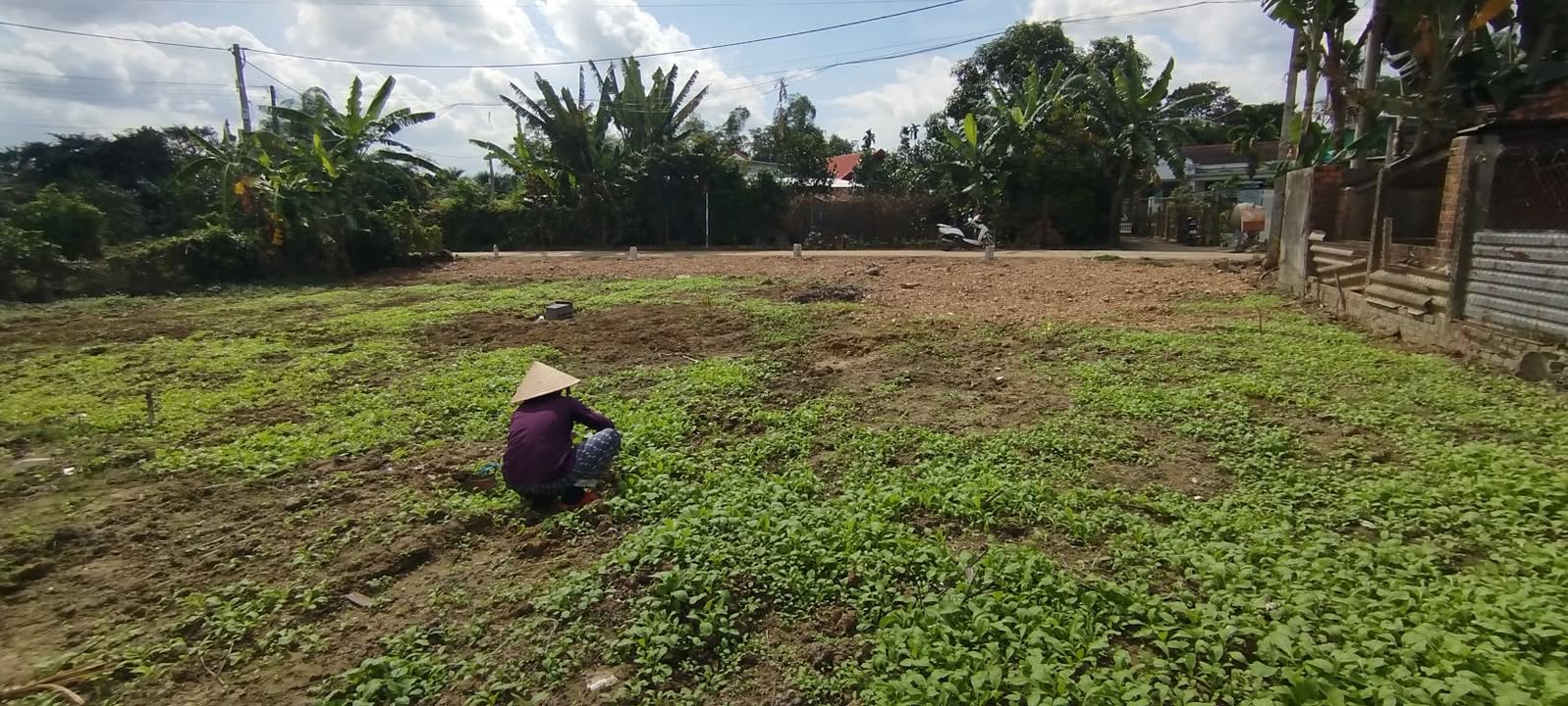 Đất nền Diên Lạc 110m² giá 850 triệu - Sổ hồng chính chủ, ô tô vào tận nơi!