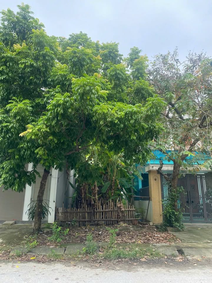 Đất nền phường Long Anh 100m² giá 2 tỷ - Cơ hội đầu tư sinh lời cao!