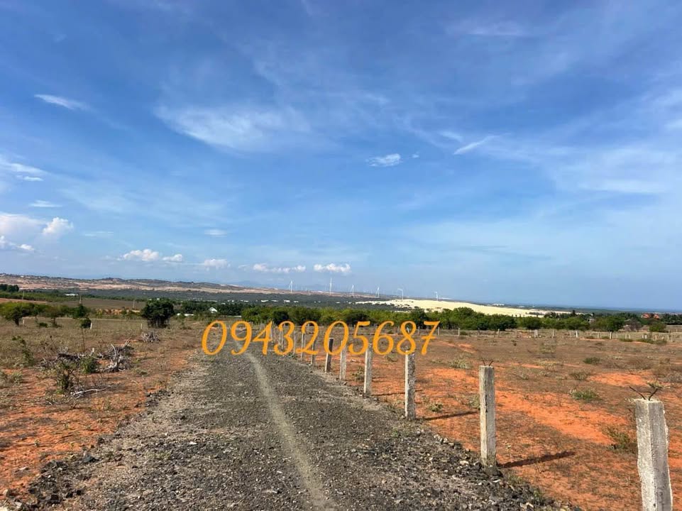 Đất nền Hòa Thắng 9.651m² giá tốt - View đồi cát trắng KDL Bàu Trắng!