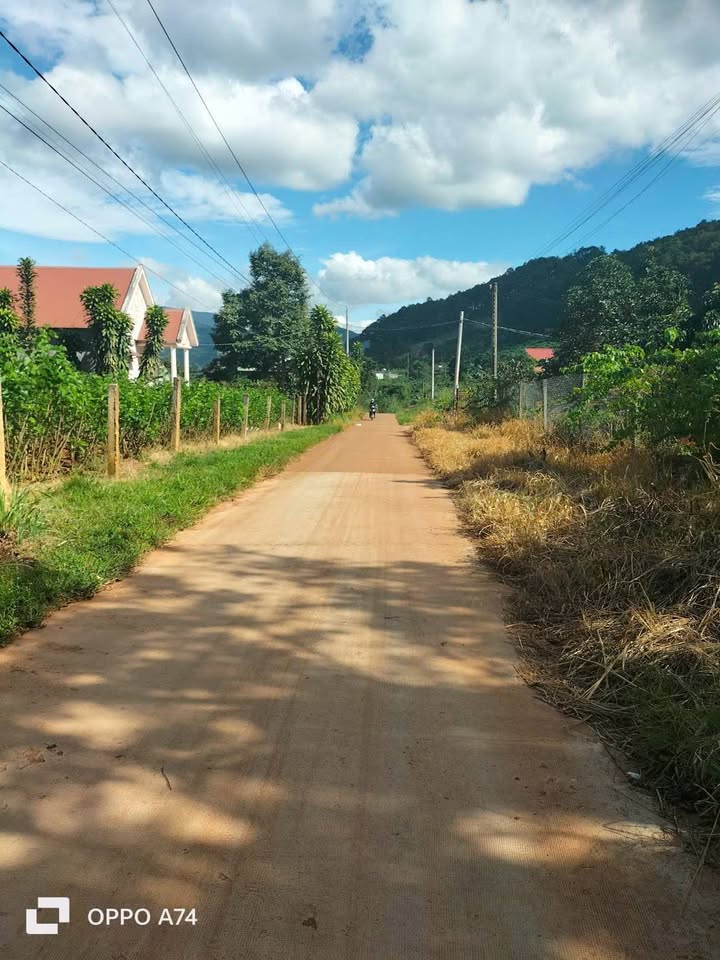 Đất nền Nam Ban, Lâm Hà 499m² giá 5 triệu/m² - Cơ hội đầu tư hấp dẫn!