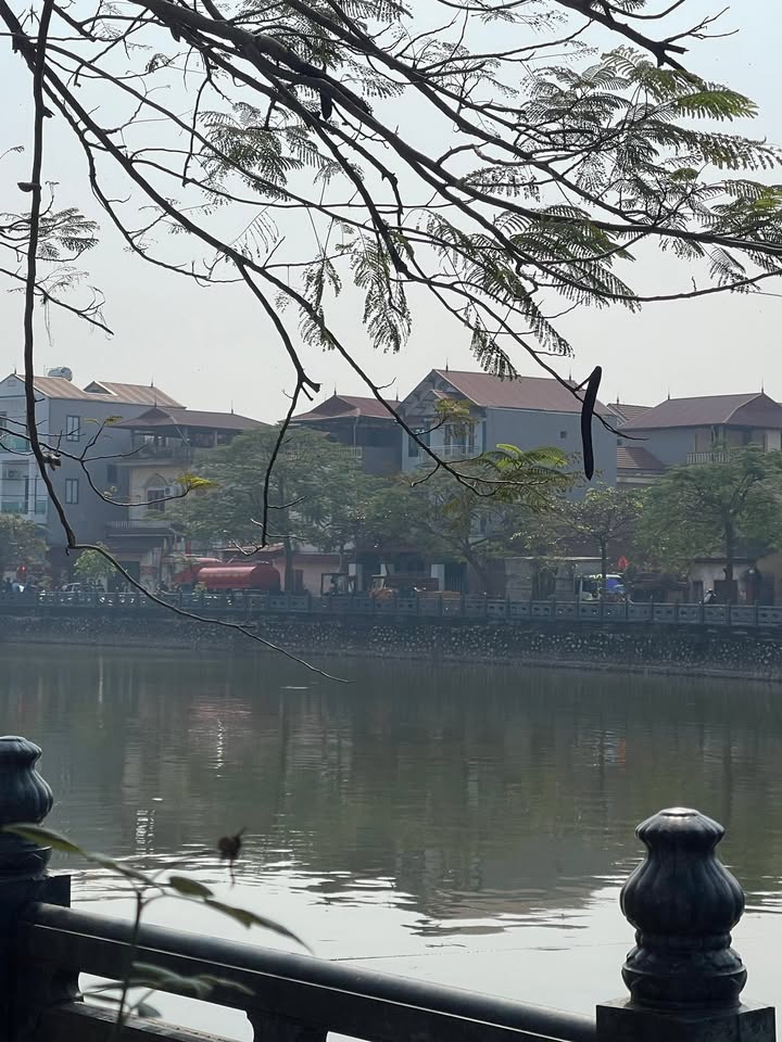 Đất nền đẹp khu phố Tư Thế, Trí Quả, Bắc Ninh 82.6m² - Tiềm năng tăng giá cao!