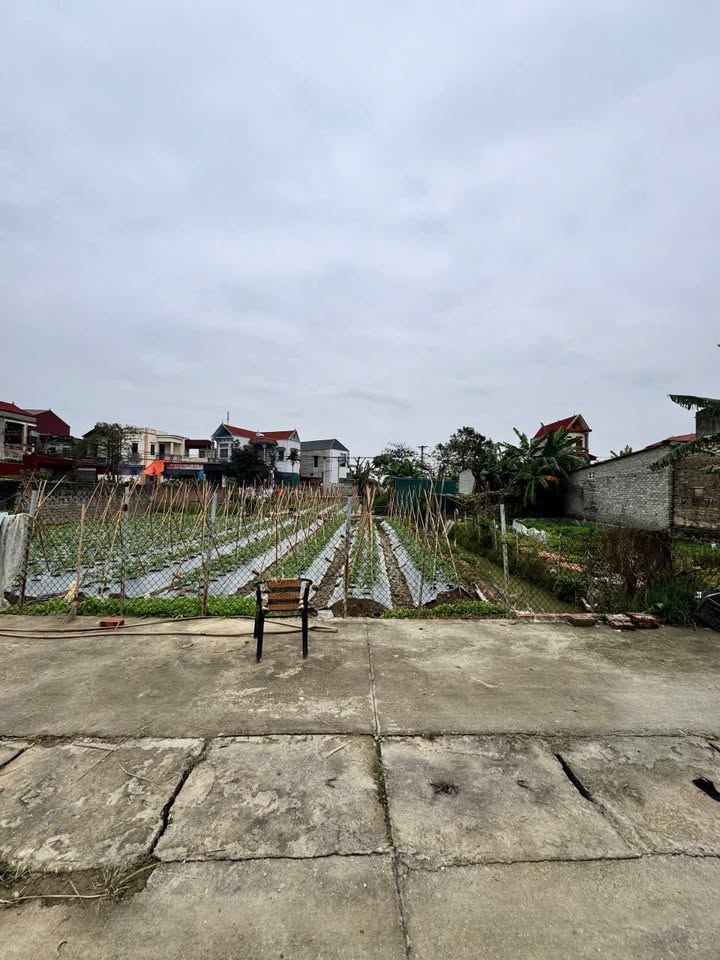 Đất nền Kim Chân Bắc Ninh 180m² giá 3.9 tỷ - Bán gấp, cơ hội đầu tư hiếm có!