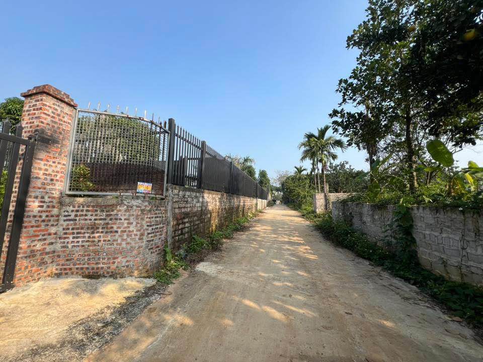 Đất nền Yên Bài, Ba Vì 366m² - Đầu tư nghỉ dưỡng lý tưởng!