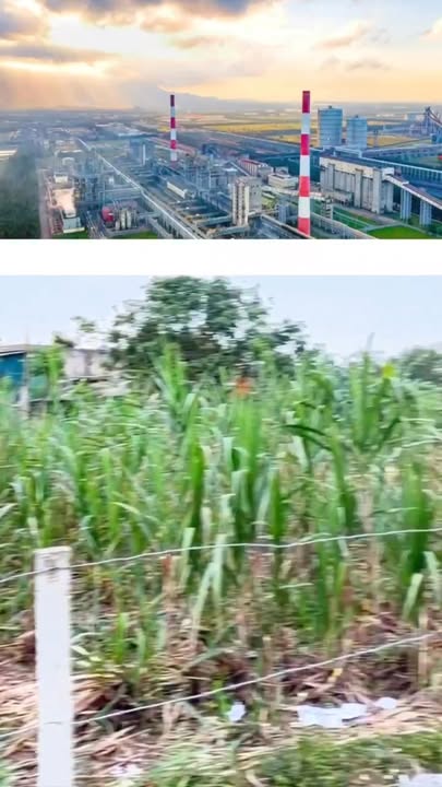 Lô đất Kỳ Anh, Hà Tĩnh 483m² - Tiềm năng đầu tư tuyệt vời!