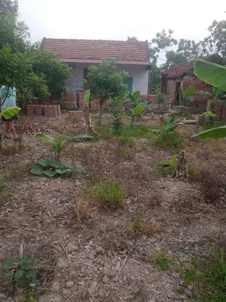 Đất ở lâu dài 400m² tại Xuân Hòa, Vũ Thư - Phong thủy tốt, giá chỉ 1 tỷ!