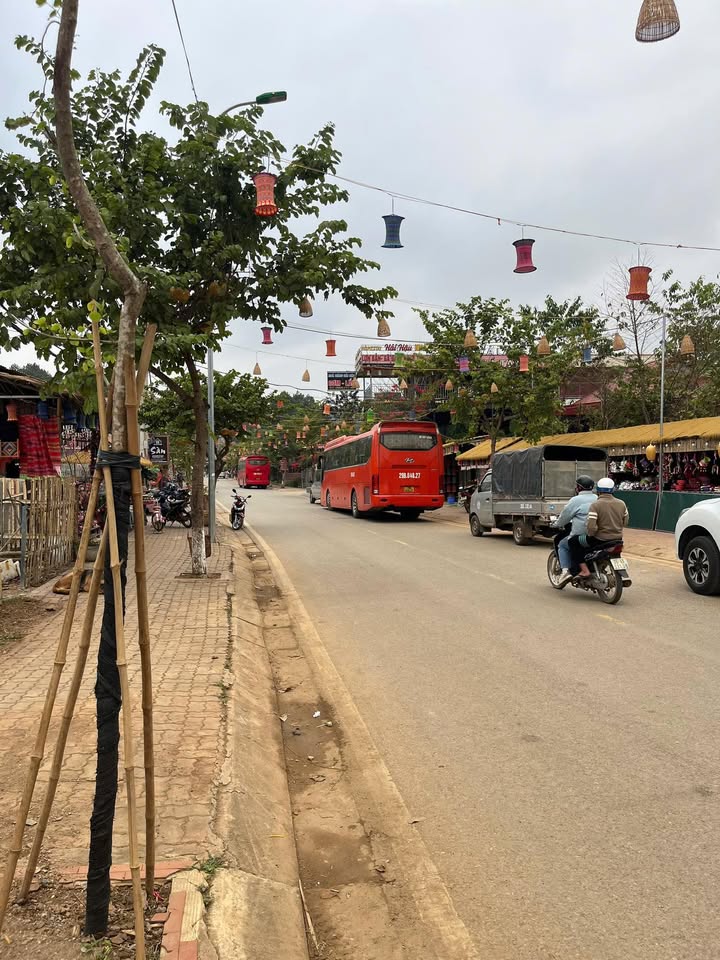 Đất kinh doanh Mộc Châu 240m² giá 8 tỷ - Vị trí đắc địa ngay cổng rừng thông!