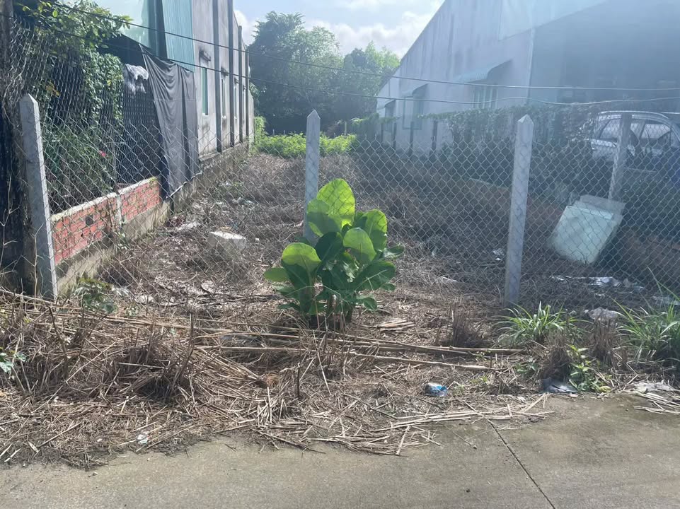 Đất thổ cư khu phố 6 Tân Biên 278m² giá 832.65 triệu - Đối diện công an huyện!