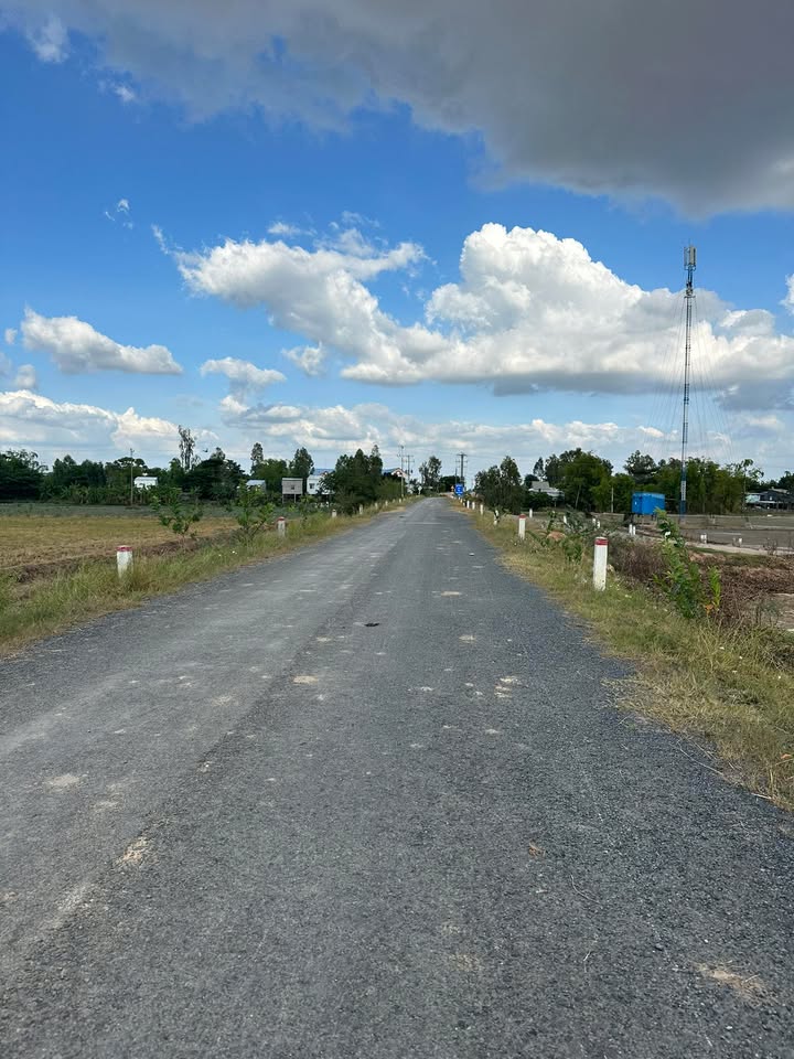 Đất ruộng 16.000m² xã Bình Phú Tân Hồng - Mặt tiền đường nhựa 34m, giá tốt!