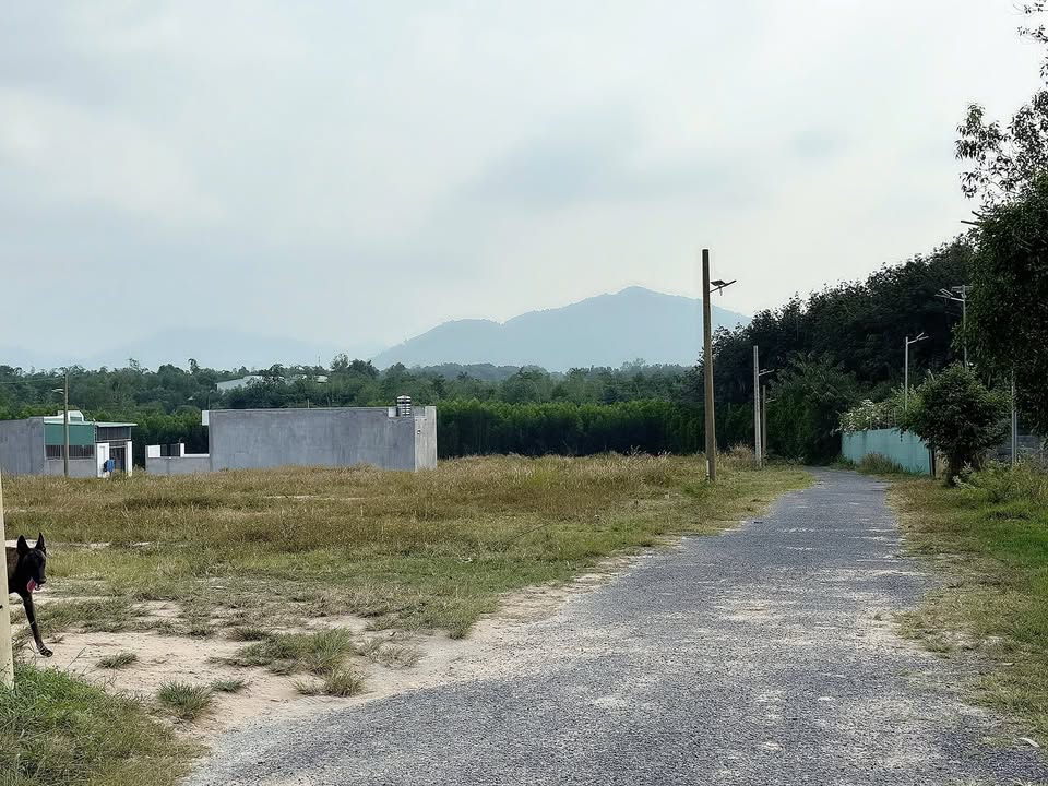 Đất nền Tân Thành 579m² giá 1.65 tỷ - Đầu tư thông minh hoặc xây nhà vườn lý tưởng!