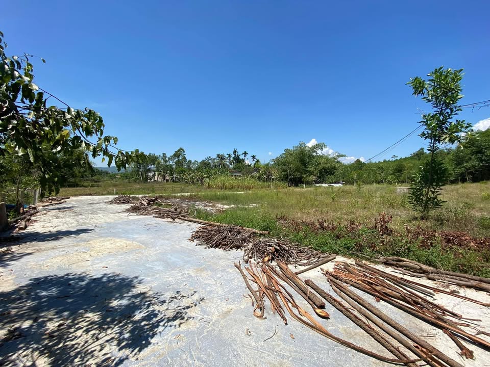 Đất nền Hòa Phong, Hòa Vang, Đà Nẵng 463m² - Giá thỏa thuận hấp dẫn!