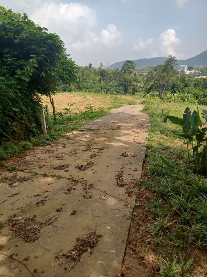 Đất vườn 2170m² Yên Trung, Thạch Thất - Giá chỉ 21.717 tỷ, Sổ hồng sẵn!