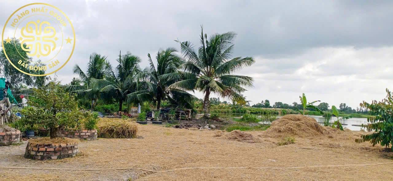 Đất nông nghiệp 22 công tại Khánh Bình Đông, Cà Mau - Tiềm năng phát triển lớn!