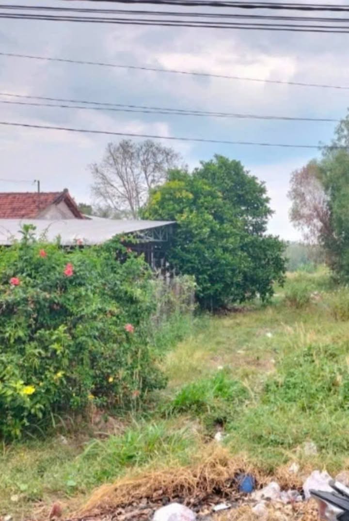 Đất nền mặt tiền đường Bà Thiên, xã Nhuận Đức, Củ Chi 710m² giá 5 tỷ - Cơ hội đầu tư hấp dẫn!