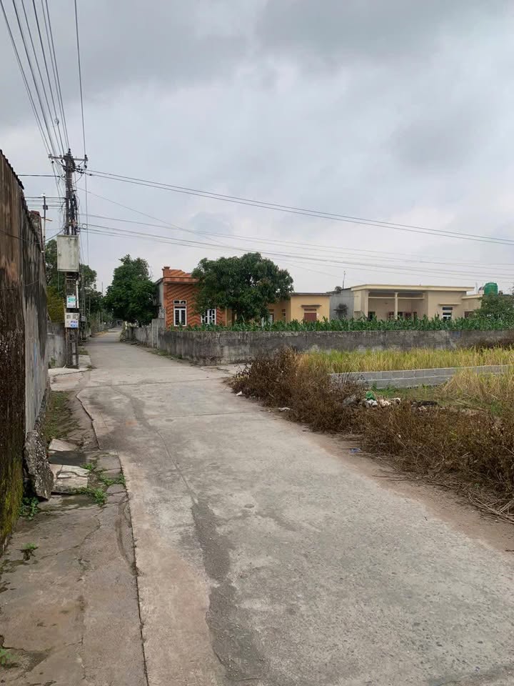 Đất nền Nam Cường Tiền Hải Thái Bình 87m² - Đường thông các ngả, giá thỏa thuận!