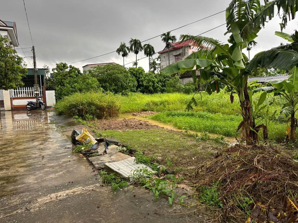 Đất Thôn An Lạc 1, An Vinh 170.8m² giá thương lượng - Pháp lý sổ đỏ chính chủ!