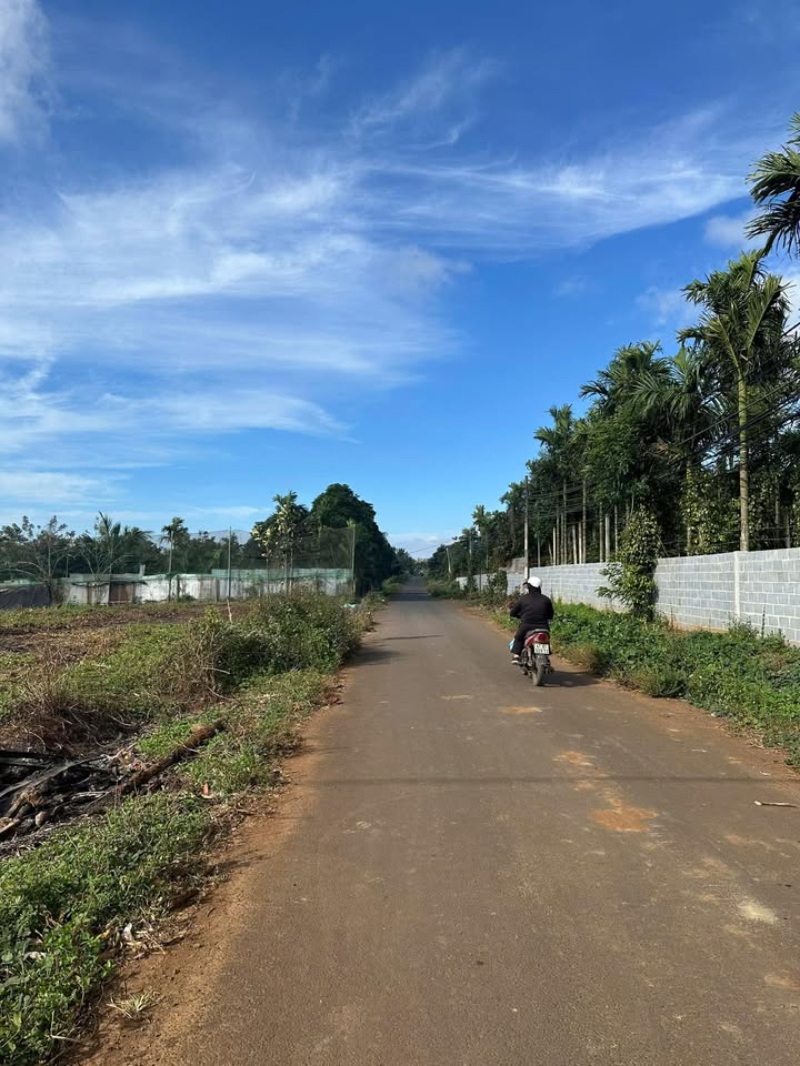 Đất nông nghiệp Hòa Thắng, Buôn Ma Thuột 7500m² giá 9 tỷ - Cơ hội đầu tư siêu hấp dẫn!