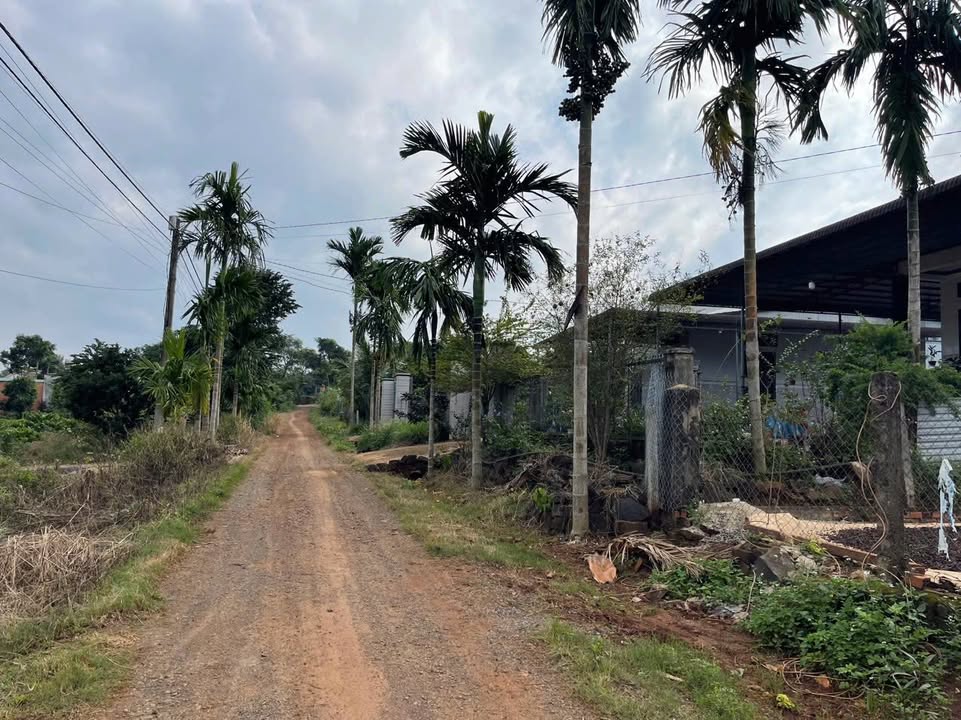 Đất nền Quảng Hiệp, Cư M'Gar 60m² giá 380 triệu - Đầu tư sinh lời ngay!